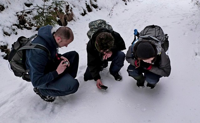 documentation of lynx footprints; photo: Josefa Volfova